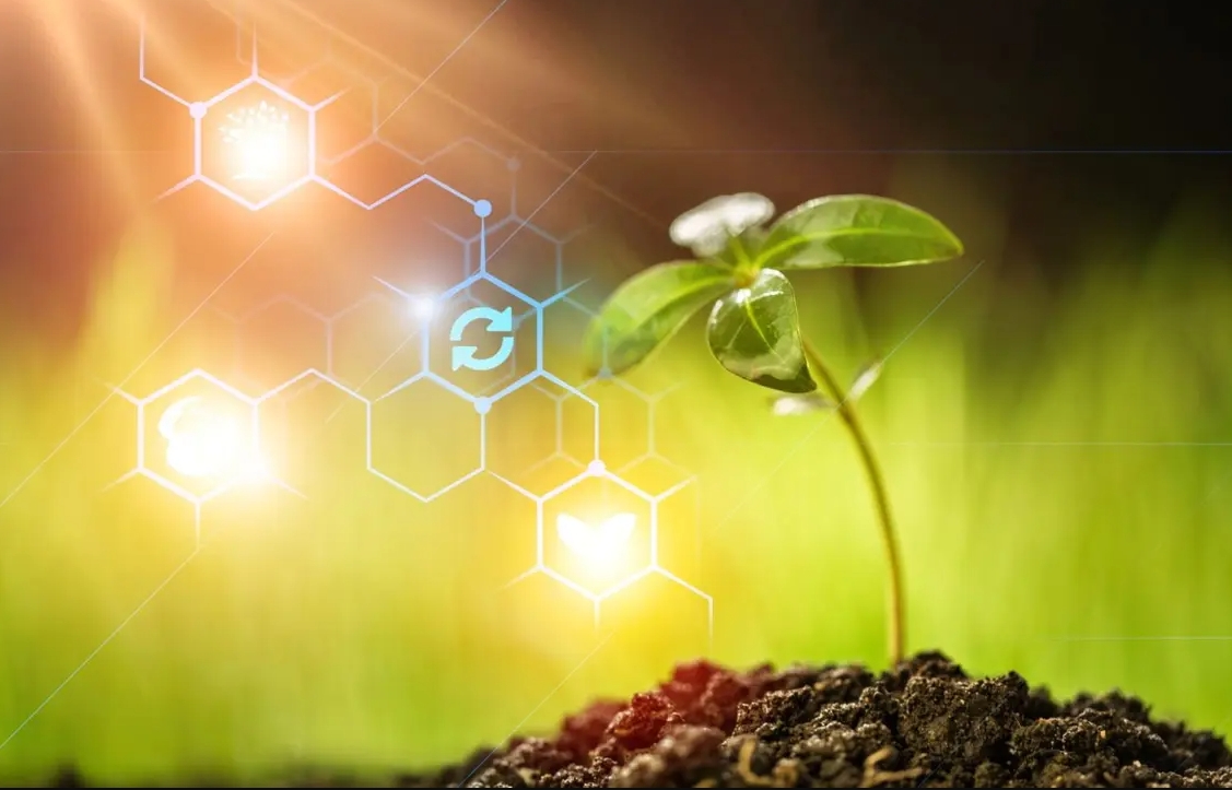 Nano Fungicide